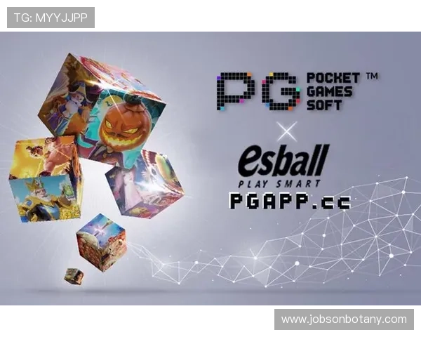 PG电子平台用户体验优化项目正式启动提升玩家游戏体验感受