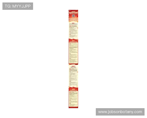 PG娱乐真人国际平台最新优惠活动与丰富的奖励机制，助力玩家轻松赢取丰厚的游戏奖金与福利