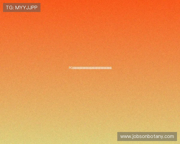 PG电子招财猫夺宝的奖励机制详解帮助玩家合理规划游戏策略