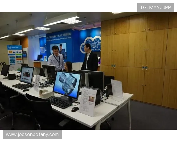 PG神鹰宝石电子网页版站优化建议与用户体验提升方案全面分析与建议