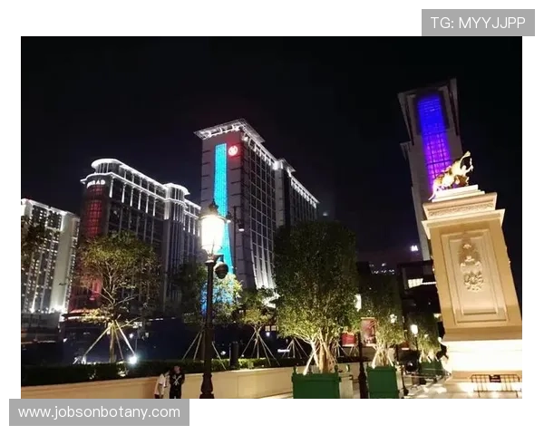 澳门威尼娱乐官方网站专业的技术保障，确保玩家资金与个人信息的安全无忧