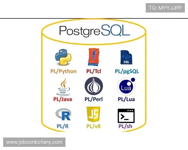 获取PG官网地址的最全方法，避免误入非官方网站保障账号安全