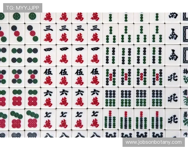 PG麻将胡了老版本更新内容及常见问题解答，帮助用户快速解决使用中的困扰