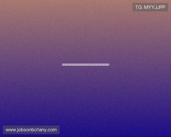佛得角与沙特比赛节奏对比:如何把握比赛节奏提升世界杯比赛的整体表现 佛得角与沙特比赛节奏对比:如何把握比赛节奏提升世界杯比赛的整体表现